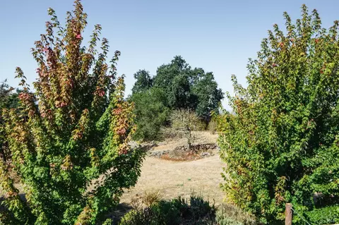 5461 Eagle Ridge Rd, Penngrove, CA 94951 photo 18
