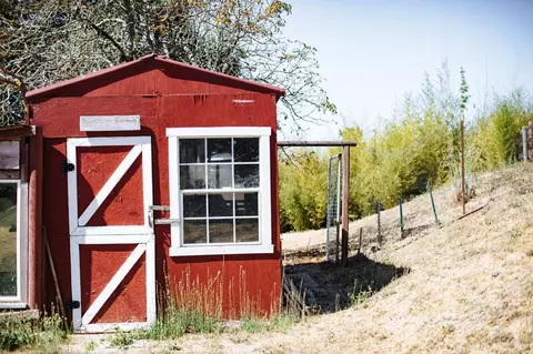 5461 Eagle Ridge Rd, Penngrove, CA 94951 photo 23