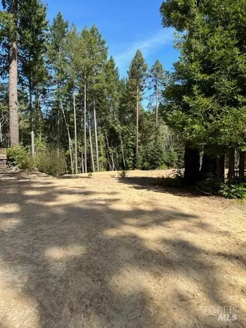 33650 Annapolis Rd, Annapolis, CA 95412 photo 5