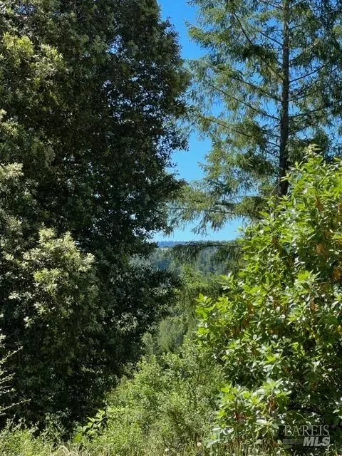 33650 Annapolis Rd, Annapolis, CA 95412 photo 10