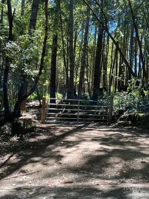 33650 Annapolis Rd, Annapolis, CA 95412 photo 20