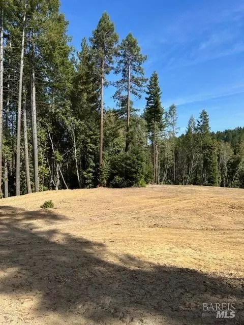 33650 Annapolis Rd, Annapolis, CA 95412 photo 3