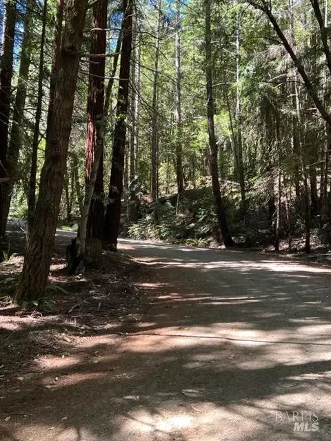 33650 Annapolis Rd, Annapolis, CA 95412 photo 19