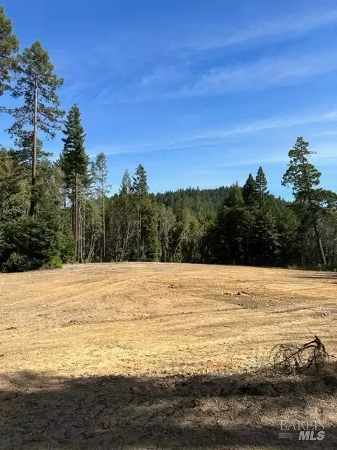 33650 Annapolis Rd, Annapolis, CA 95412 photo 4