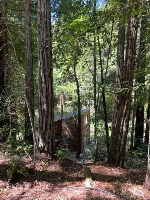 33650 Annapolis Rd, Annapolis, CA 95412 photo 12