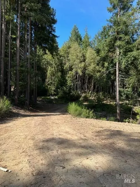 33650 Annapolis Rd, Annapolis, CA 95412 photo 2