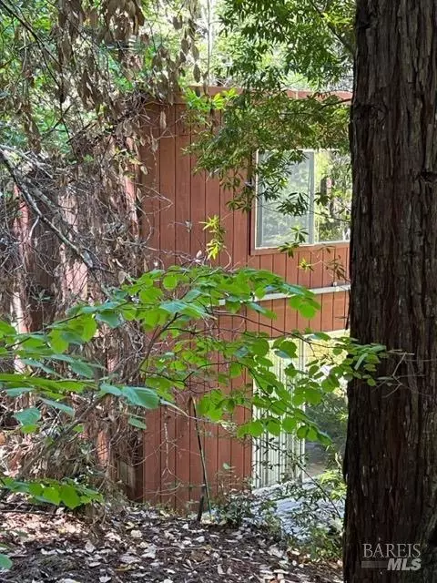 33650 Annapolis Rd, Annapolis, CA 95412 photo 13