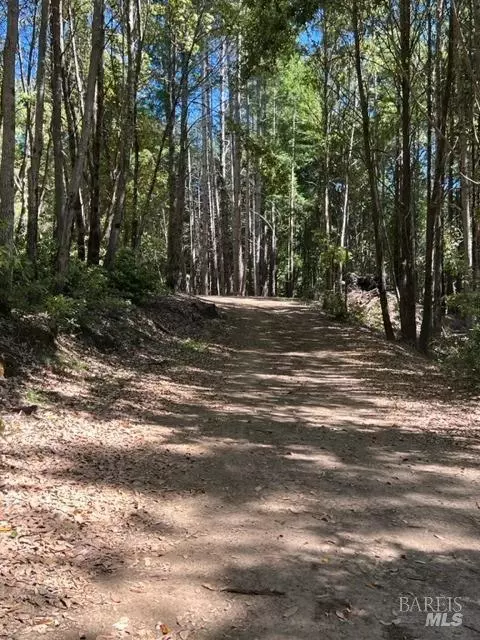 33650 Annapolis Rd, Annapolis, CA 95412 photo 11