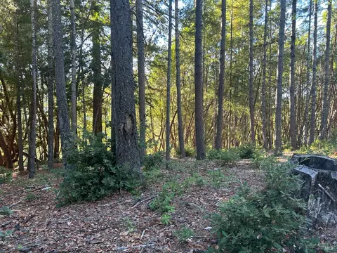 25136 Sherwood Rd, Willits, CA 95490 photo 2