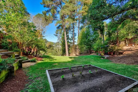 659 Chapman Dr, Corte Madera, CA 94925 photo 53