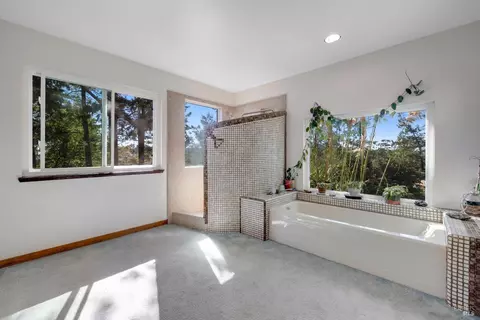 3751 Burnside Rd, Sebastopol, CA 95472 photo 36