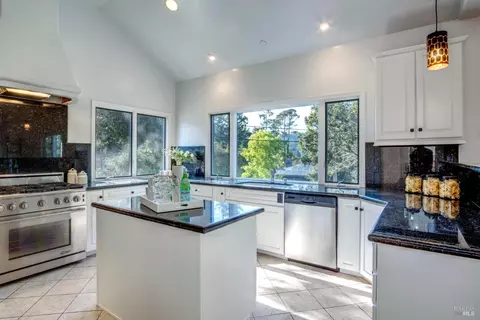 1 Circle Way, Mill Valley, CA 94941 photo 19
