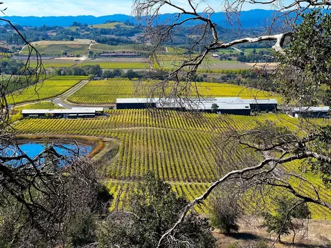0 Pine Flat Rd, Healdsburg, CA 95448