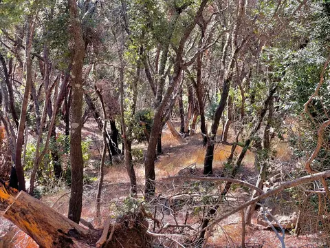 0 Pine Flat Rd, Healdsburg, CA 95448 photo 14