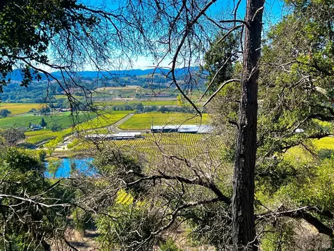 0 Pine Flat Rd, Healdsburg, CA 95448 photo 19