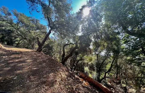 0 Pine Flat Rd, Healdsburg, CA 95448 photo 17