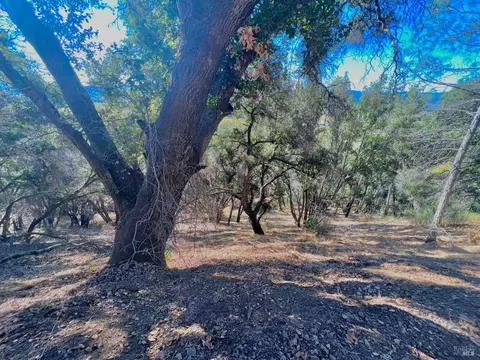 0 Pine Flat Rd, Healdsburg, CA 95448 photo 5