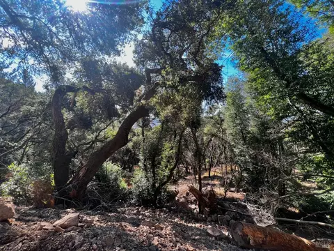 0 Pine Flat Rd, Healdsburg, CA 95448 photo 18