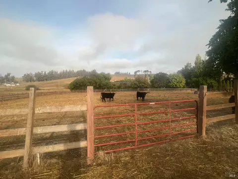6095 Bodega Ave, Petaluma, CA 94952 photo 36