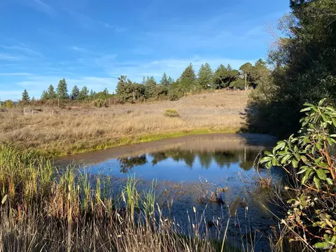 6001 Lazy Springs Rd, Philo, CA 95466 photo 18