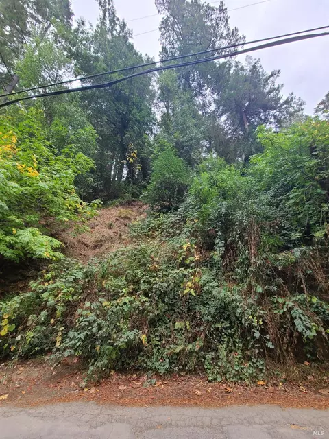 11440 Summerhome Park Rd, Forestville, CA 95436