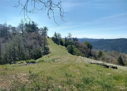 15501 Ridgeview Rd, Willits, CA 95490 photo 2