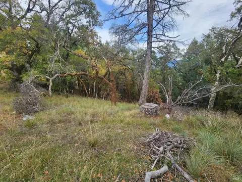15501 Ridgeview Rd, Willits, CA 95490 photo 20