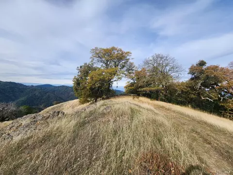 15501 Ridgeview Rd, Willits, CA 95490 photo 25