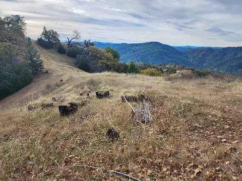 15501 Ridgeview Rd, Willits, CA 95490 photo 17