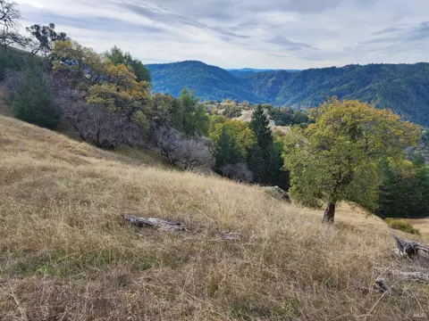 15501 Ridgeview Rd, Willits, CA 95490 photo 18