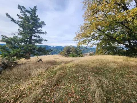 15501 Ridgeview Rd, Willits, CA 95490