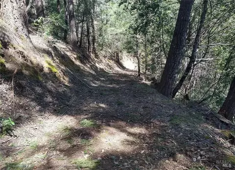 15501 Ridgeview Rd, Willits, CA 95490 photo 3