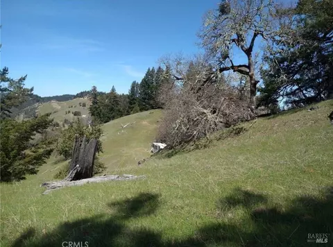 15501 Ridgeview Rd, Willits, CA 95490 photo 10
