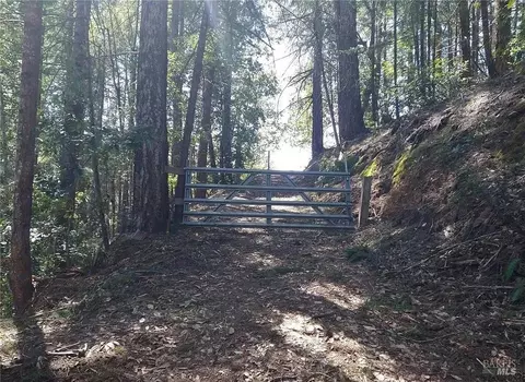 15501 Ridgeview Rd, Willits, CA 95490 photo 4