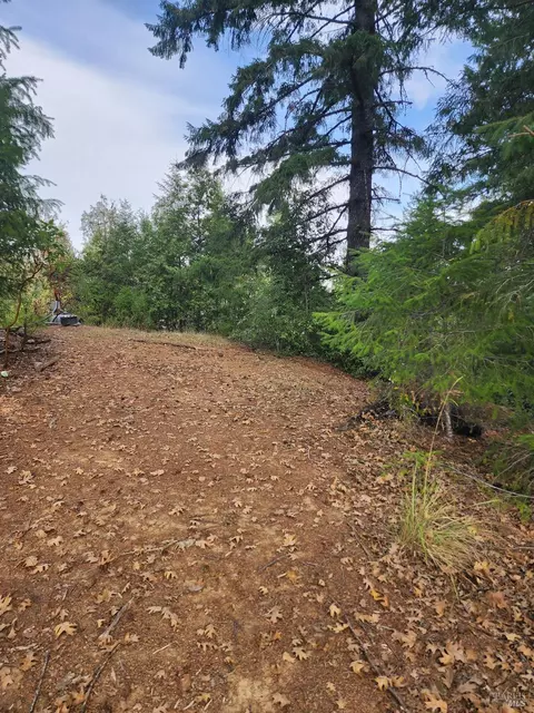 15501 Ridgeview Rd, Willits, CA 95490 photo 16