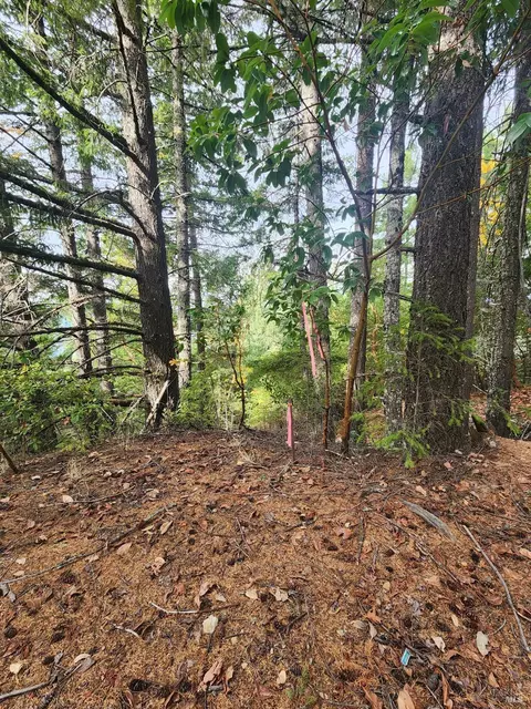 15501 Ridgeview Rd, Willits, CA 95490 photo 27