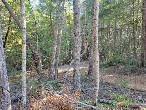 6100 Fort Bragg Rd, Willits, CA 95490 photo 17