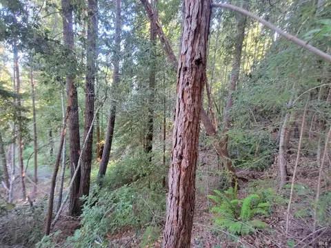6100 Fort Bragg Rd, Willits, CA 95490 photo 22