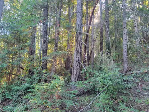 6100 Fort Bragg Rd, Willits, CA 95490 photo 20
