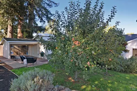 7939 Tocchini St, Sebastopol, CA 95472 photo 54
