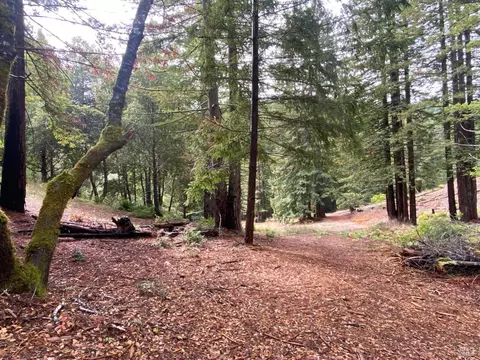 1980 Charoliase Dr, Navarro, CA 95463