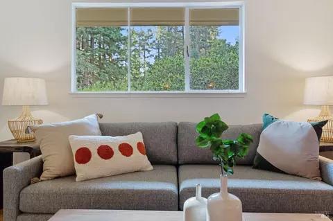 24 Heather Way, Mill Valley, CA 94941 photo 48