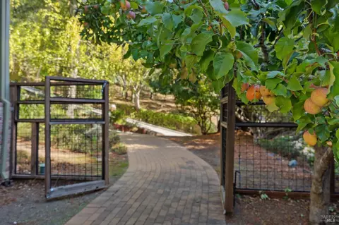 24 Heather Way, Mill Valley, CA 94941 photo 30