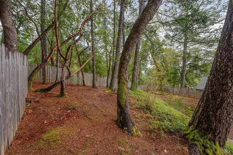 25755 Pullen Pl, Willits, CA 95490 photo 20