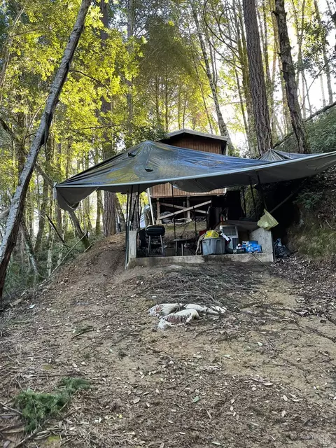 30010 N Hwy 101, Willits, CA 95490 photo 5