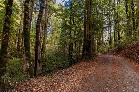 4813 Bear Canyon Rd, Willits, CA 95490 photo 23