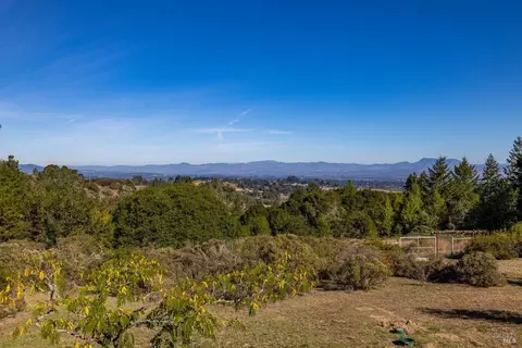 4397 Burnside Rd, Sebastopol, CA 95472 photo 54
