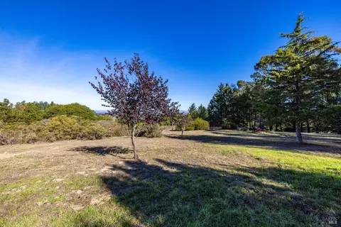 4397 Burnside Rd, Sebastopol, CA 95472 photo 49