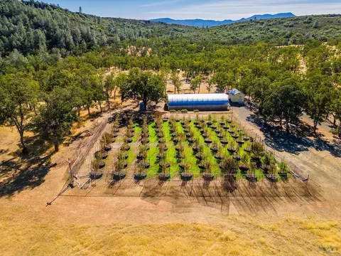 21715 Jerusalem Grade Rd, Middletown, CA 95461 photo 30