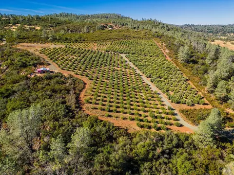 21715 Jerusalem Grade Rd, Middletown, CA 95461 photo 33